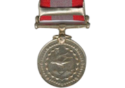Special Seva Medal